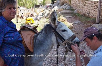 The Equine Programme Team on outreach in Hydra 2018