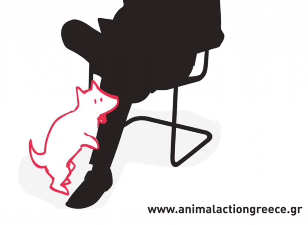 Neutering Public Information Video