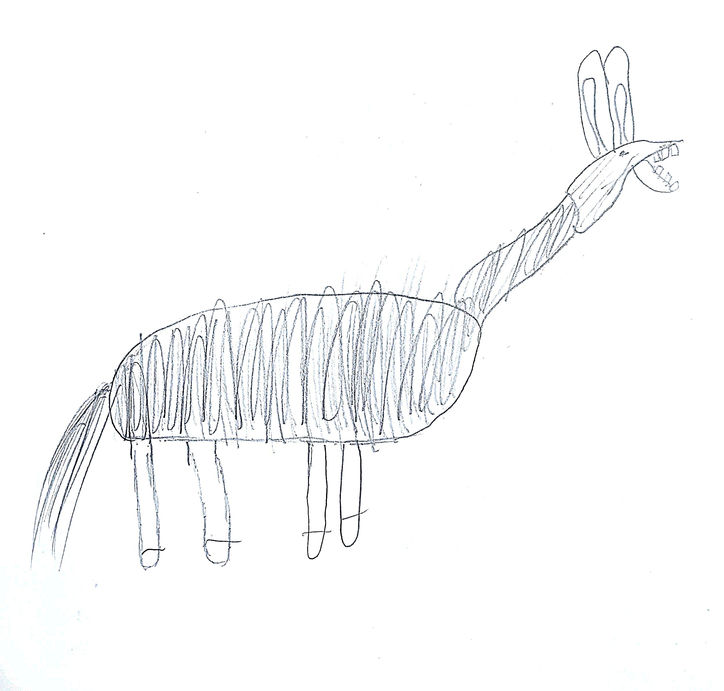 New Document(331)_13