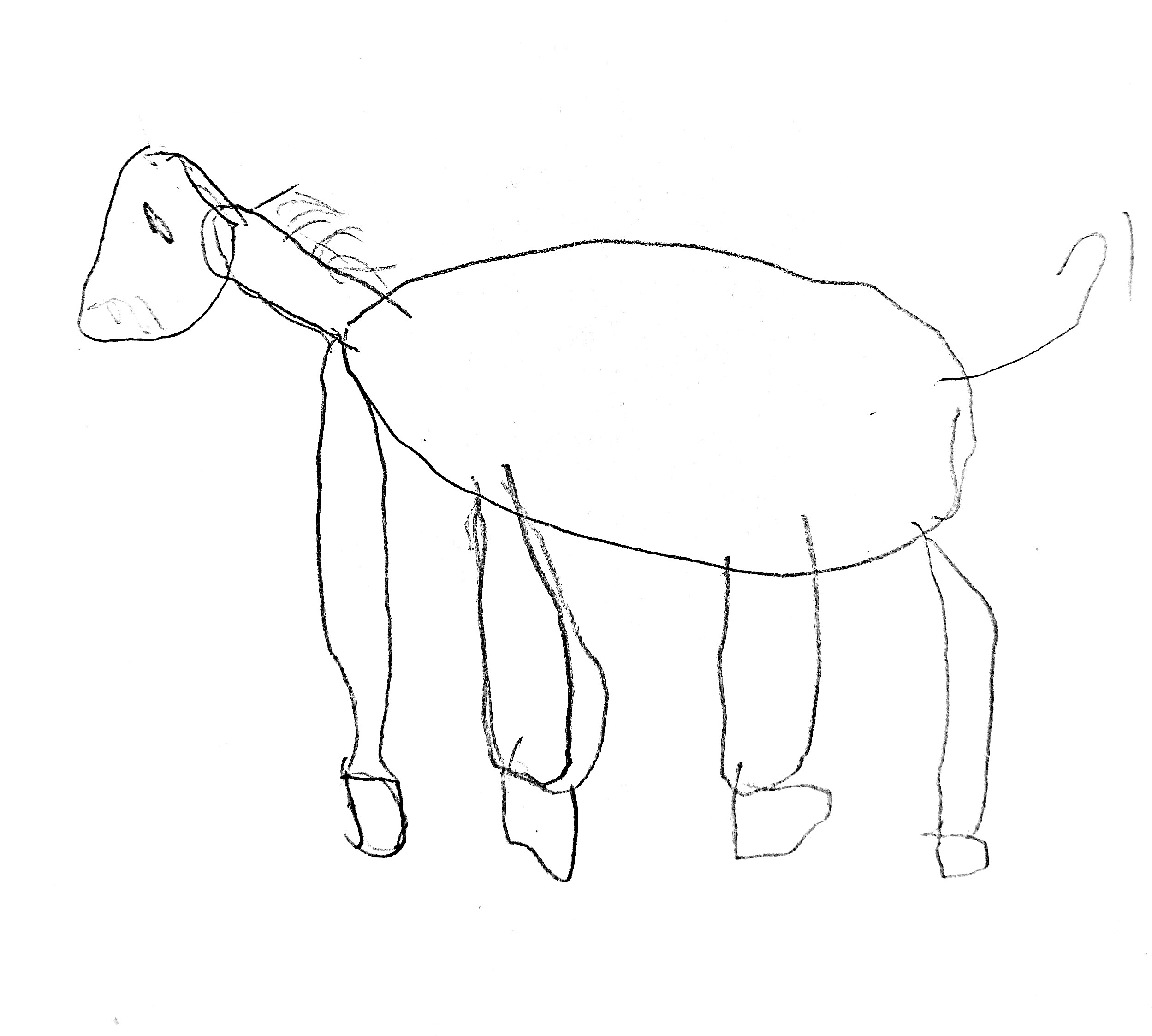 New Document(331)_16 ....