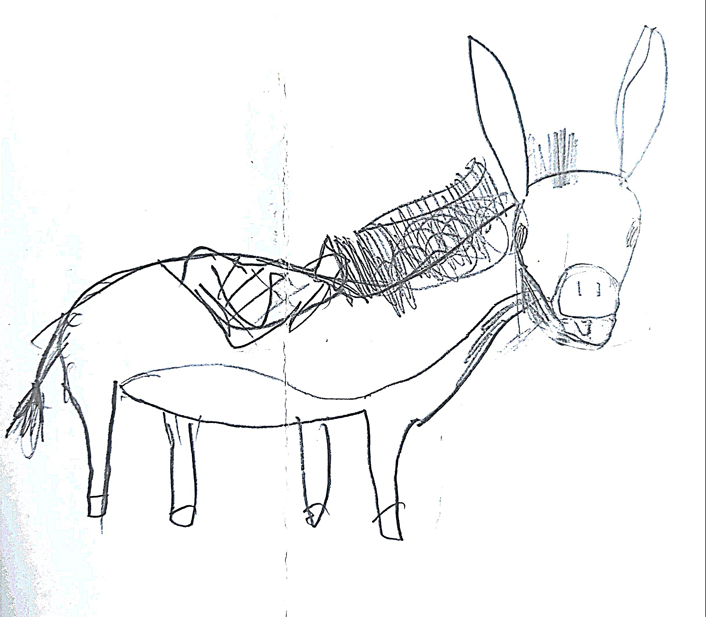 New Document(331)_17