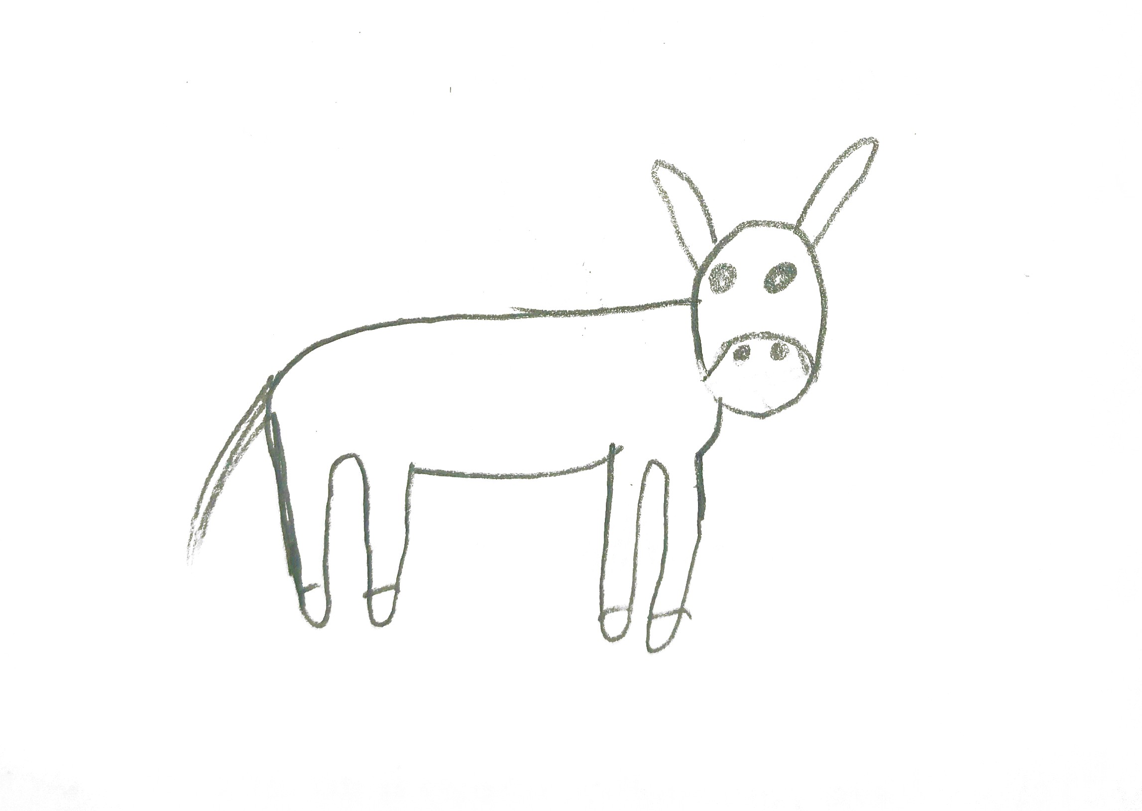 New Document(331)_20