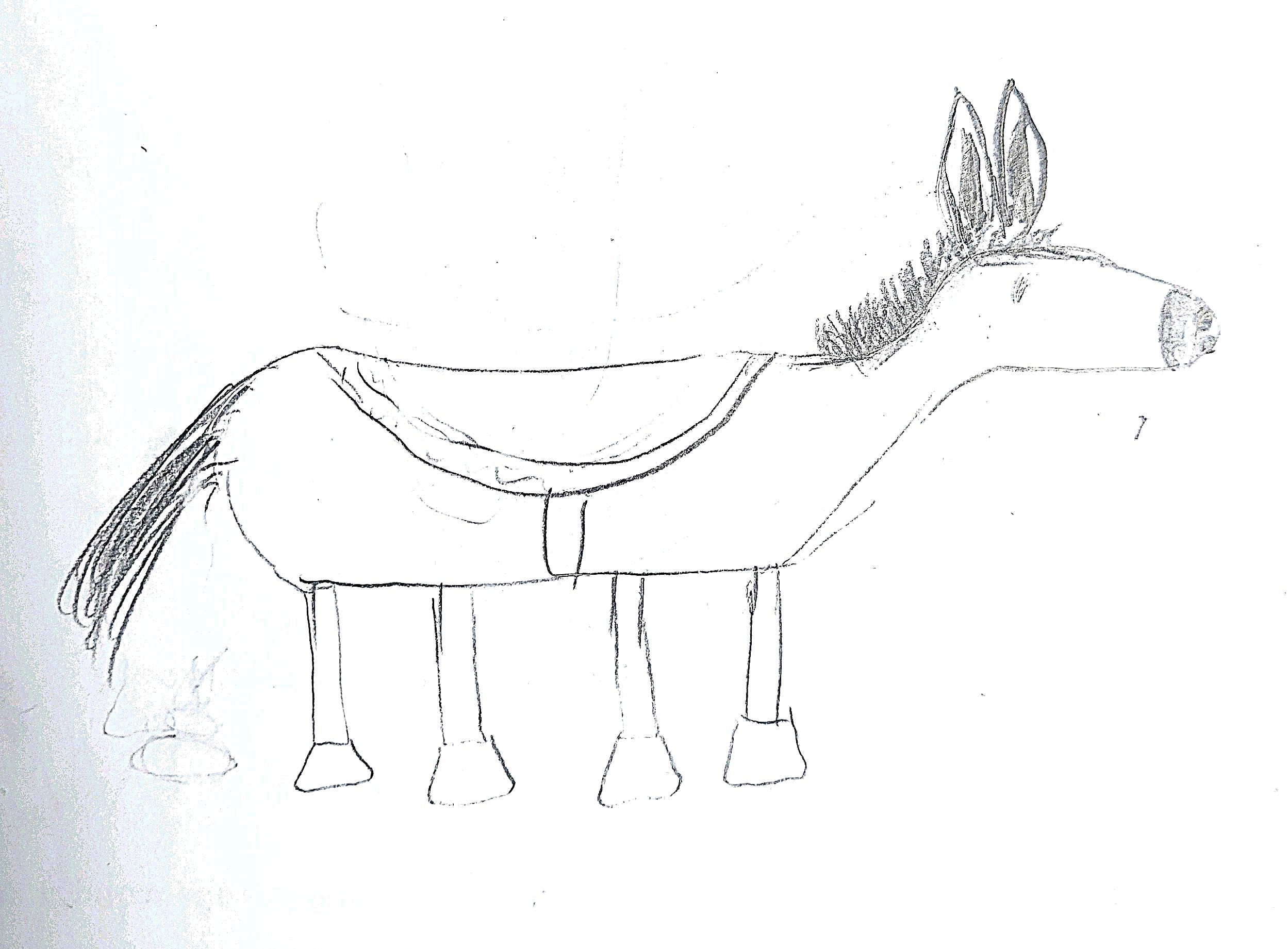 New Document(331)_22