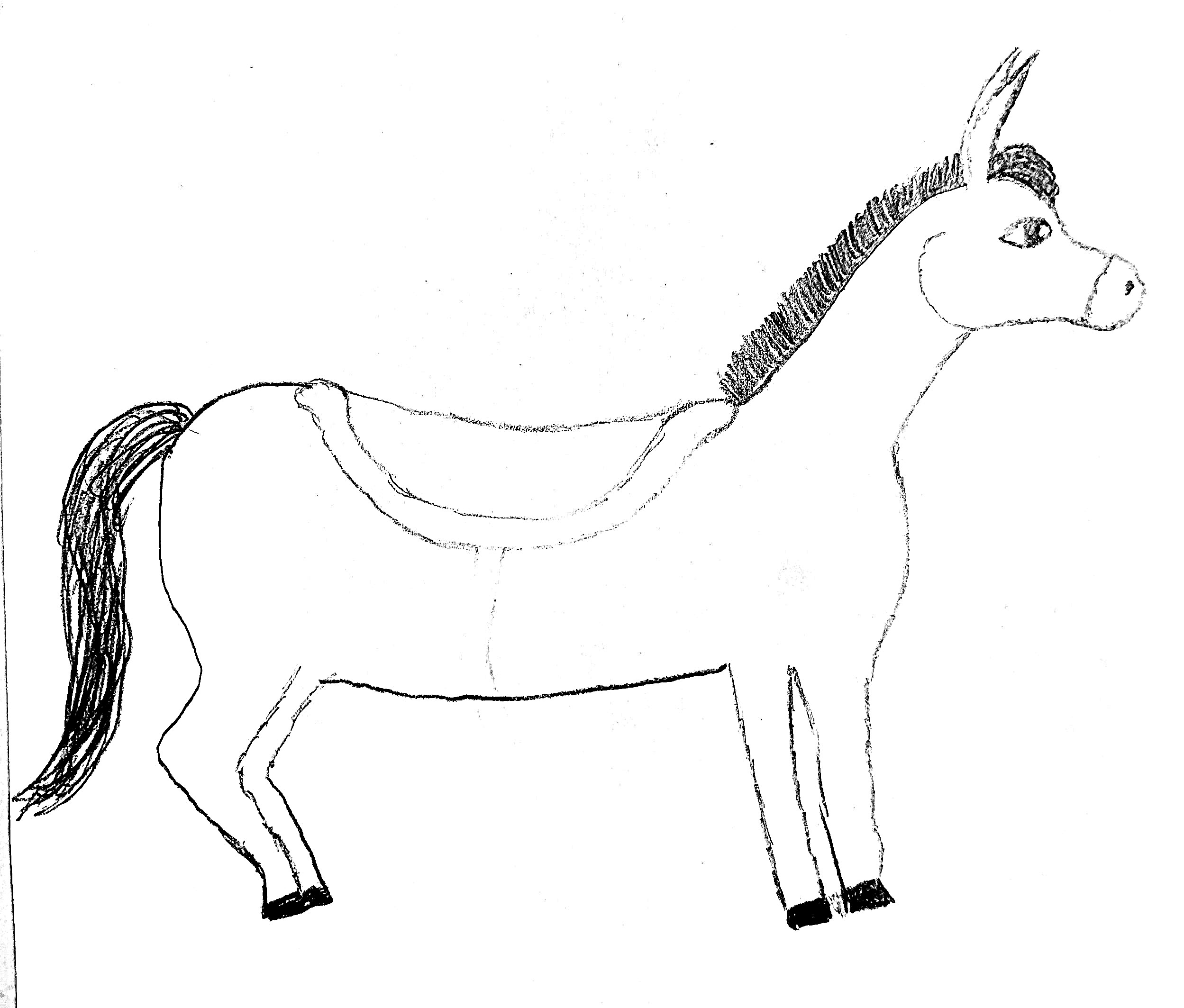 New Document(331)_30