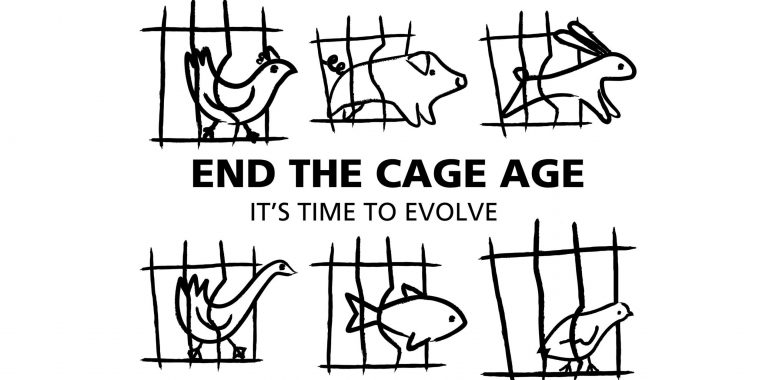 Letter to the Minister of Agriculture: Request to support the phasing out  of cages in livestock farming - Animal Action Greece